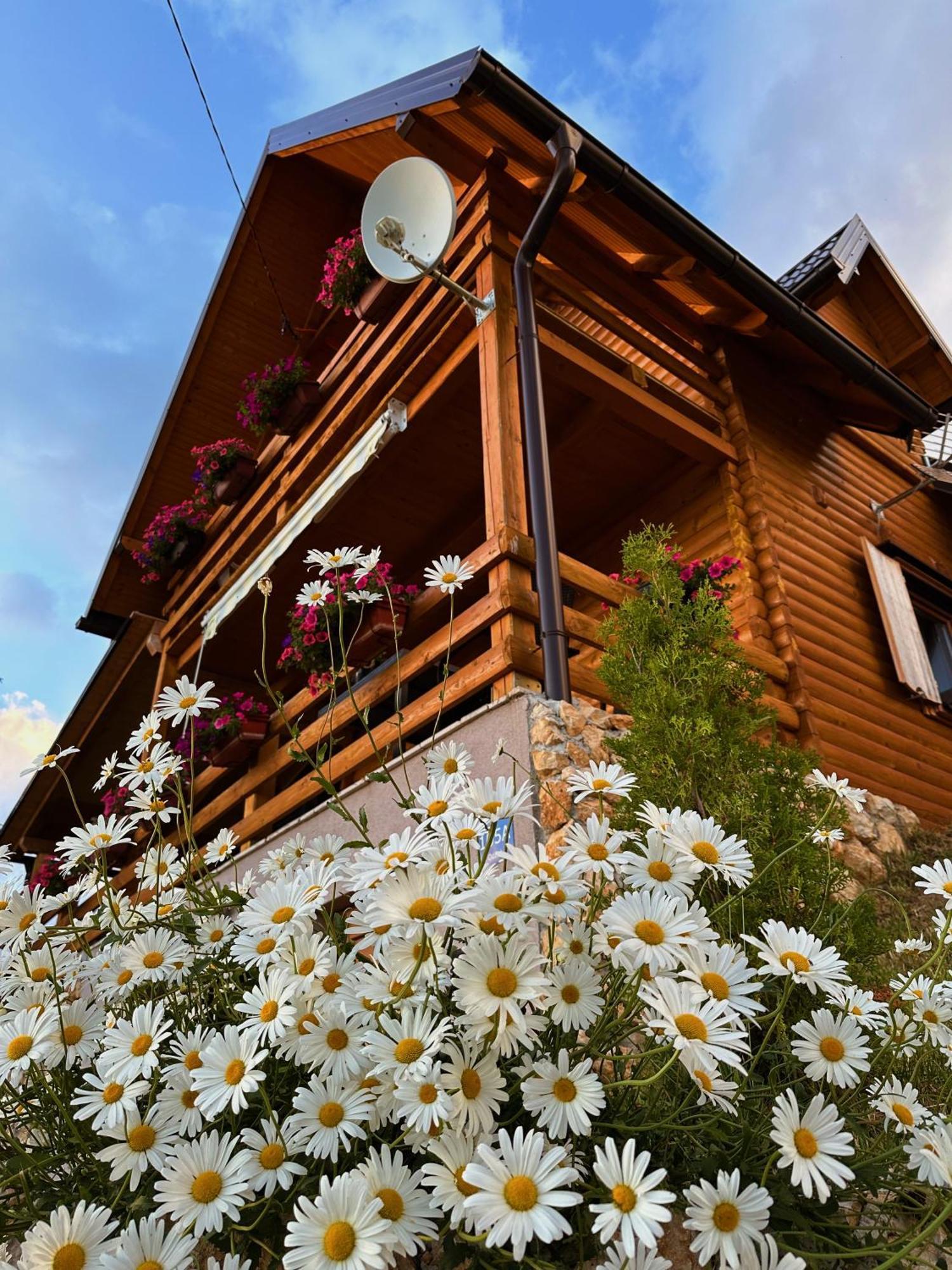 Casa Mia Resort كوبريس المظهر الخارجي الصورة